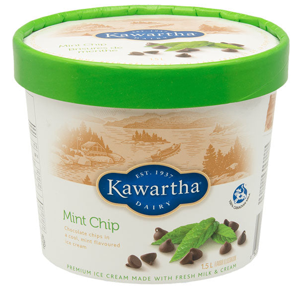 Mint Chip Ice Cream